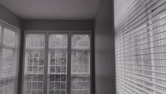 Foto del edificio - 1658 White Oak Vista Dr
