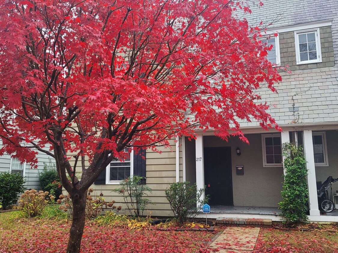 217 Palen Ave, Newport News, VA 23601 House Rental in Newport News