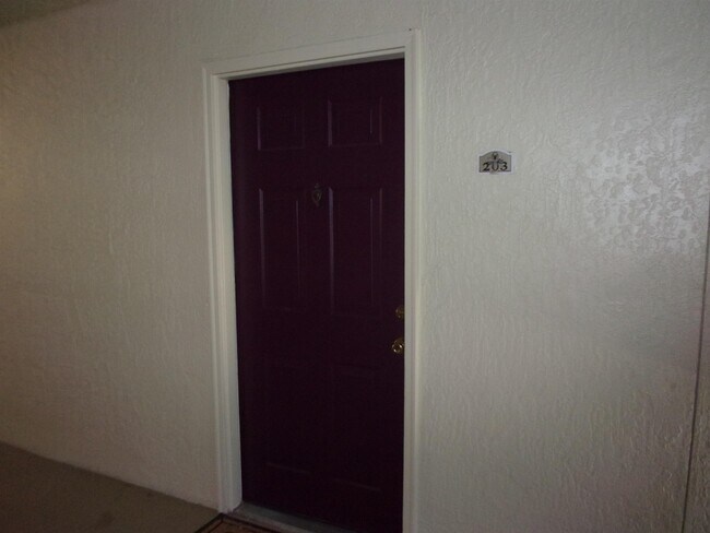 Building Photo - 203 N Villa San Marco Dr