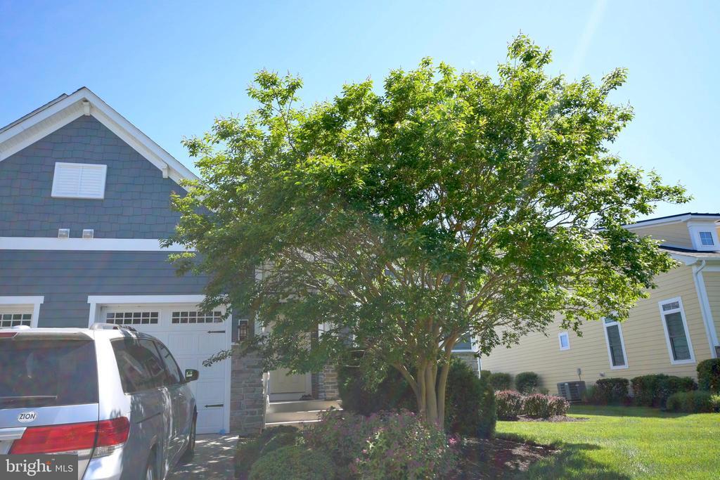 Primary Photo - 38918 Blue Indigo Rd