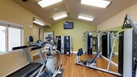 This single-level fitness center is thoughtfully designed to support a comprehensive workout experience. The space features a striking vaulted ceiling that lends an open, airy feel, complemented by warm hardwood flooring throughout. Bright flush-mounted and skylight-style ceiling fixtures ensure the room is well-lit at all times, while large windows and glass double doors along one wall invite abundant natural light and offer views of the outdoors.

The facility is outfitted with a diverse selection of professional-grade equipment. Cardio offerings include Matrix treadmills and elliptical trainers, providing options for users of all fitness levels. The strength training area is equipped with multiple cable and pulley machines, a multi-functional cable crossover station, a seated weight machine, and an adjustable bench, enabling a full range of resistance exercises. A wall-mounted flat-screen television adds an entertainment element to cardio sessions.

Full-length mirrors are strategically positioned along one wall, visually expanding the space and allowing users to monitor their form during workouts. The walls are painted in a calming combination of warm beige and sage green, creating an inviting and motivating atmosphere. The overall layout is organized and spacious, allowing for comfortable movement between stations. This fitness center delivers a well-rounded, professional-quality exercise environment.