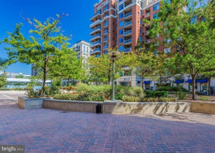 3650 S Glebe Rd Unit 443, Arlington, VA 22202 Condo for Rent in