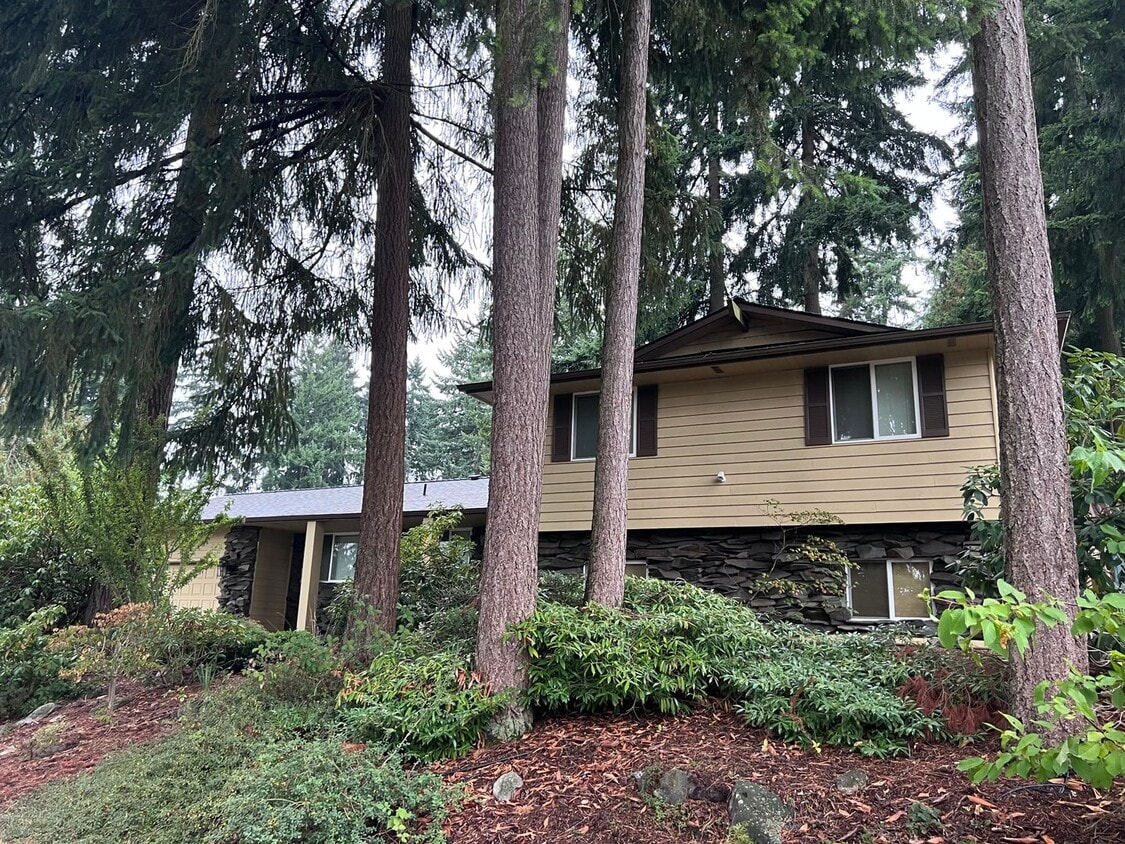 Primary Photo - Beautiful Mid-Century Tri Level in quiet n...