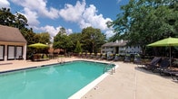 This inviting outdoor amenity space centers around a generously sized swimming pool with clear, blue-green water and a classic rectangular design, complete with stainless steel entry rails for easy access. The pool deck is finished in smooth concrete and lined with a generous array of cushioned lounge chairs and chaise lounges, providing ample space for sunbathing and relaxation. Accent seating areas are complemented by bright green umbrellas that offer shaded retreats from the sun. A sturdy black iron perimeter fence encloses the space, lending a sense of security and definition to the area. The surrounding landscape is richly adorned with tall, mature trees that provide natural shade and a verdant backdrop, enhancing the overall ambiance of the space. Residential buildings with traditional architectural styling are visible just beyond the fencing, contributing to the community feel of the environment. The open-sky setting allows for abundant natural light throughout the day, making this an ideal space for outdoor leisure and social gatherings. Overall, the pool area presents a well-maintained, community-focused outdoor environment designed for comfort and enjoyment.
