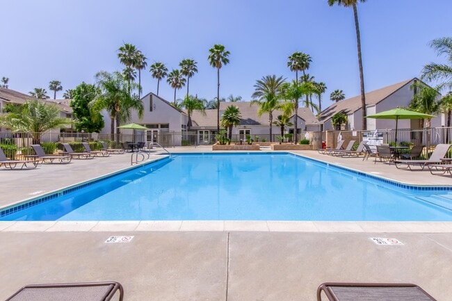 Foto del edificio - Palm Court Apartment Homes
