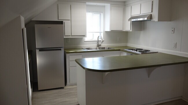 NEW KITCHEN/CEILING FAN/ALL NEW STAINLESS-STEEL APPLIANCES - 87 Lincoln St