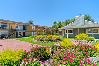 Building Photo - Cantera