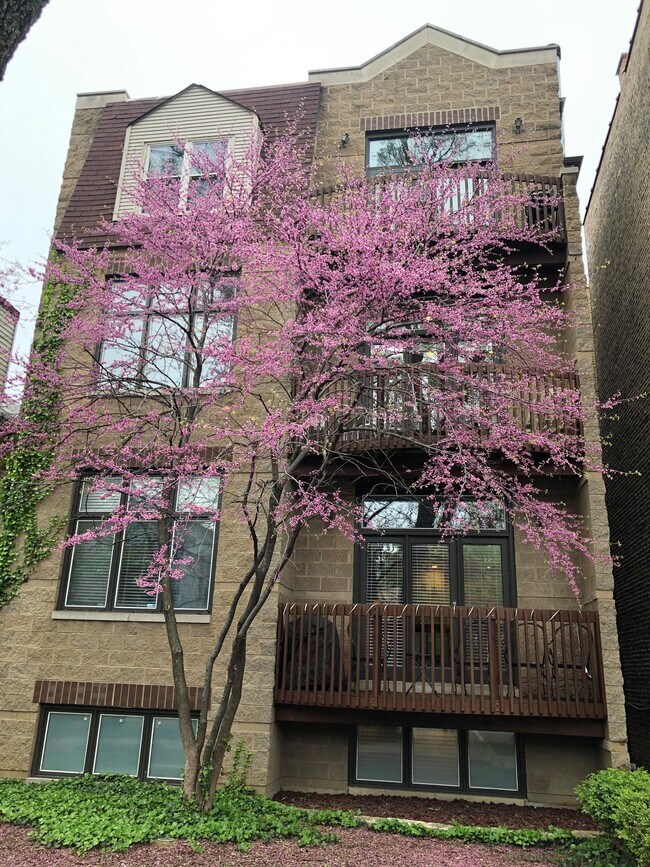 Front of Building - 1464 W Grace St