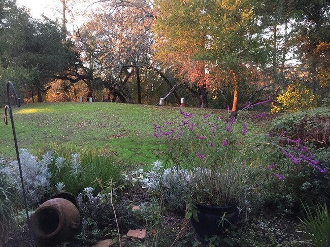 Greenbelt w/ Flowers - 2103 Stonefield Ln
