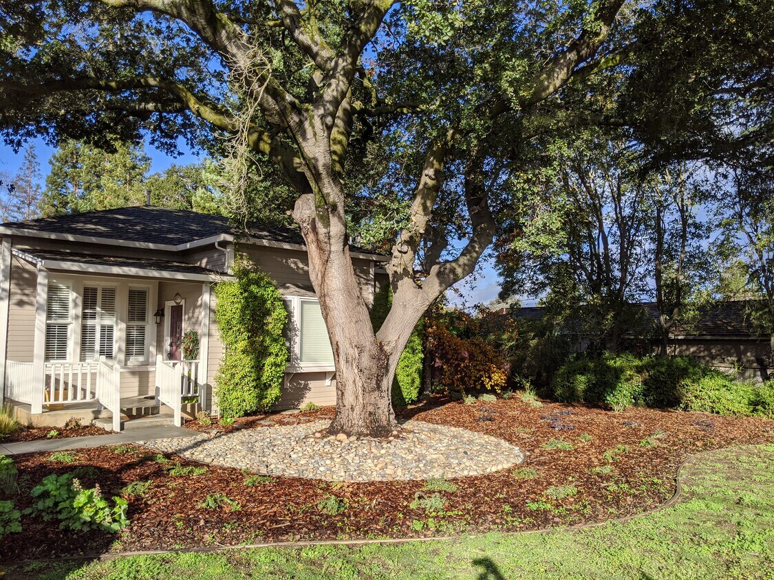 Main house - 320 S. Springer Rd