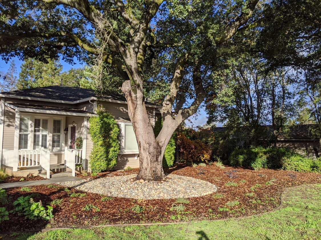 Main house - 320 S. Springer Rd