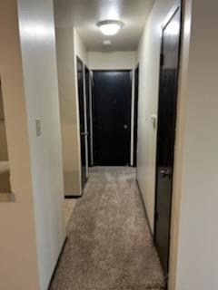 One Bedroom, Hallway - The Flats on 56th Apartments