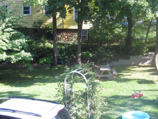 Back yard - 52 Augur St