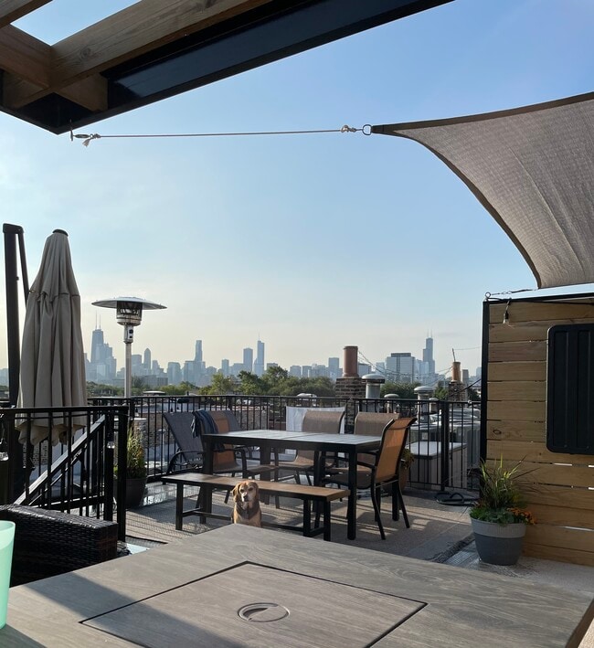Private Rooftop Deck - 1120 W Armitage Ave
