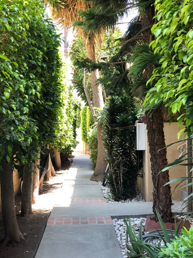 Lush walkway to units - 943 19th St