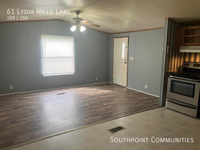 Photo - 61 Lydia Hills Ln House