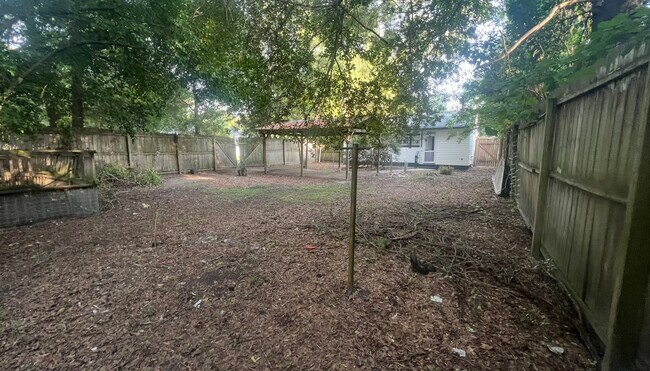 Backyard - 1351 Waverly Ave