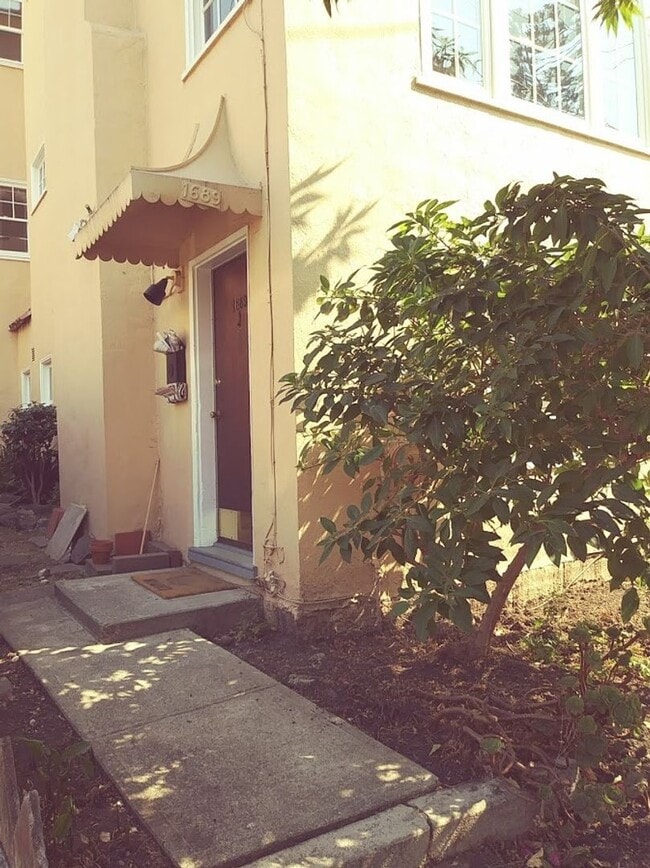 Building Photo - North side, quiet and spacious one bedroom is walking distance to the north side of the UC Berkel...