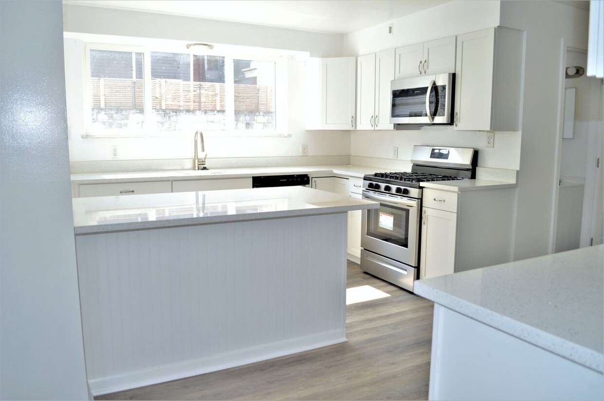 Primary Photo - Stunning Remodel in South Side Flats