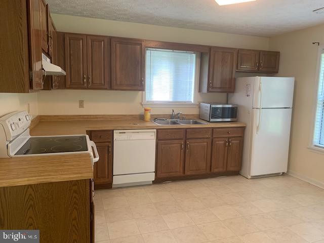 Building Photo - 23300 White Elm Ct