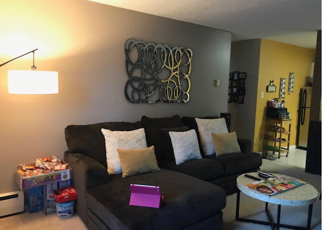 Living Room 1 - 4 Wyndover Woods Ln