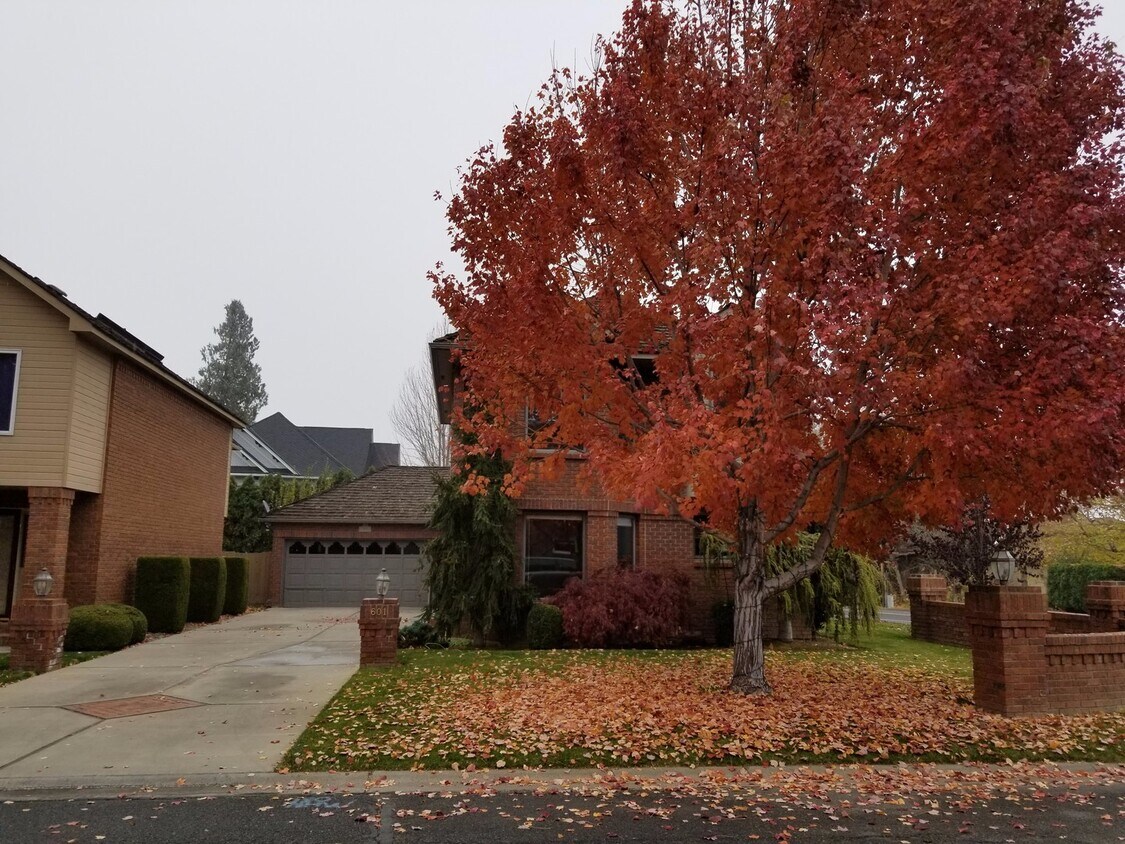 Primary Photo - Bellevue Manor 2br 2ba Double garage