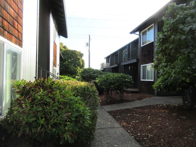 Building Photo - Two Bedroom Apartment w/ Washer and Dryer