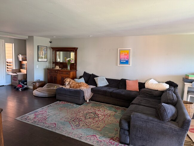 large living room with natural light - 802 Kalpati Cir