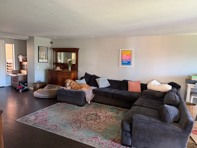 large living room with natural light - 802 Kalpati Cir