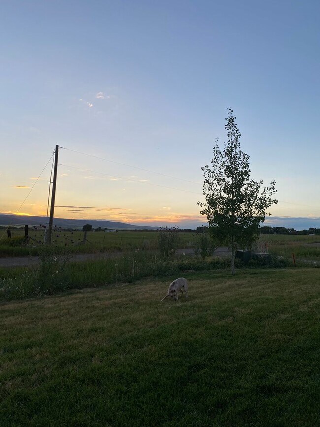 Building Photo - Dog Friendly LT Rental in Victor, ID