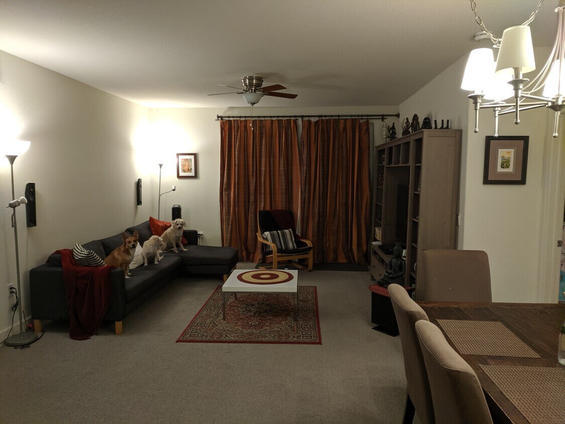 Living Room - 700 S Abel St