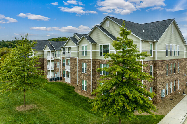 Building Photo - Palisades of Asheville