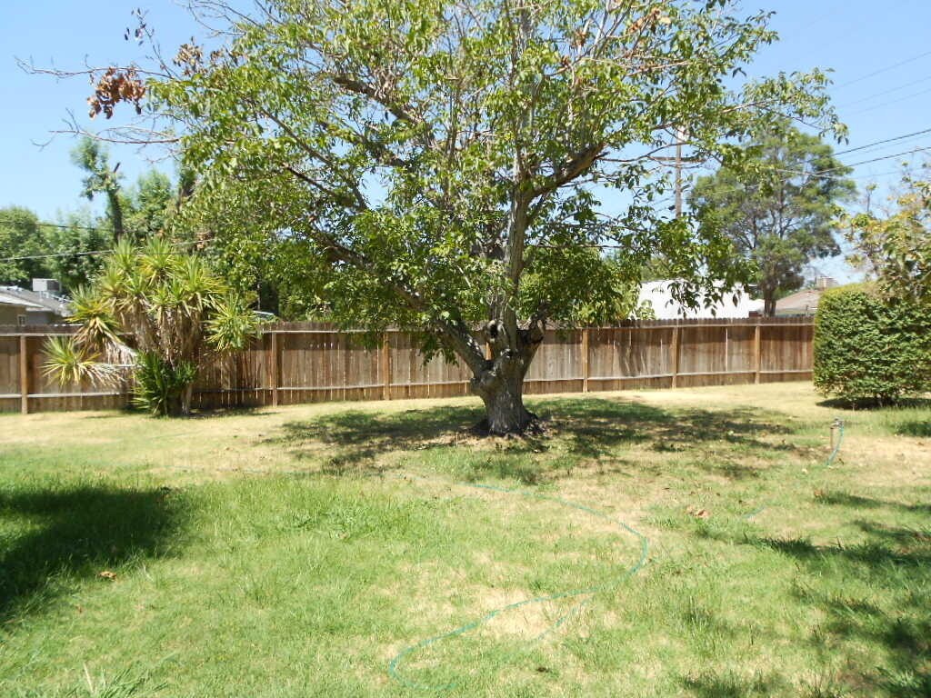 Foto del edificio - Cute and updated home near McLane High Sch...