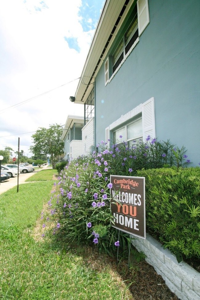 Building Photo - Updated 1/1 Apt in Arlington! No App Fee