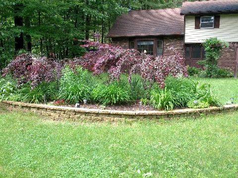 Building Photo - 28 Woodmint Pl