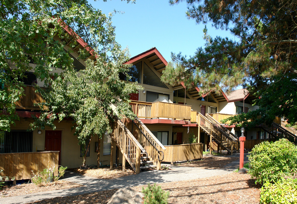 Primary Photo - Pinewild Apartments