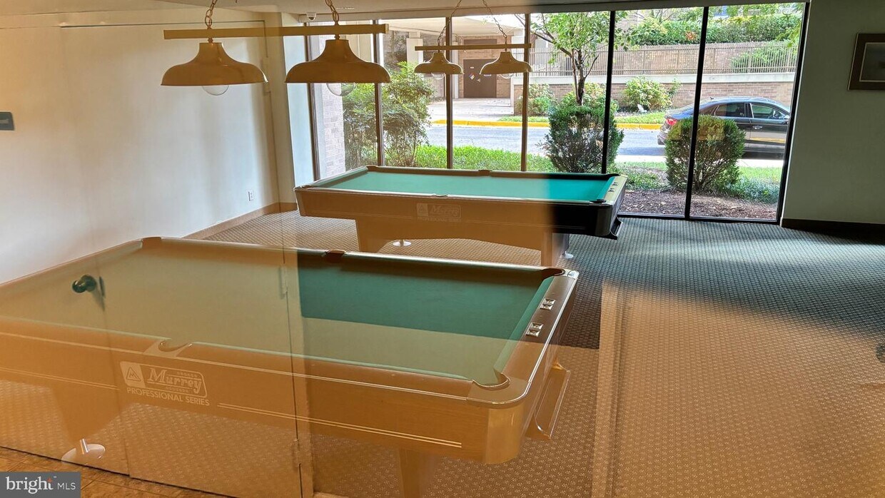 5505 Seminary Rd Unit 813N, Falls Church, VA 22041 Room for Rent in
