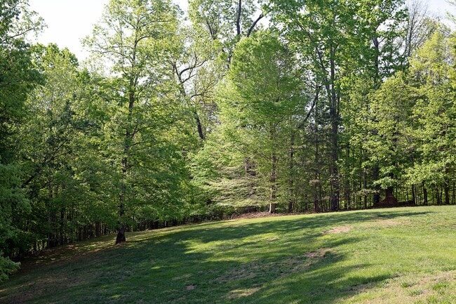 Building Photo - Cat-Friendly Forest Lakes South Home