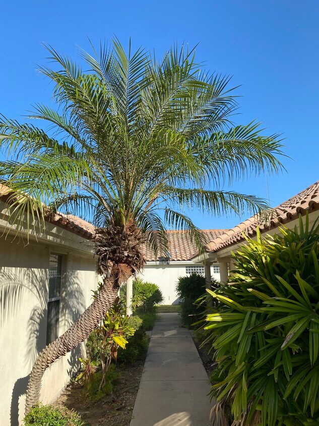 Foto principal - 1209 Swallow Ave