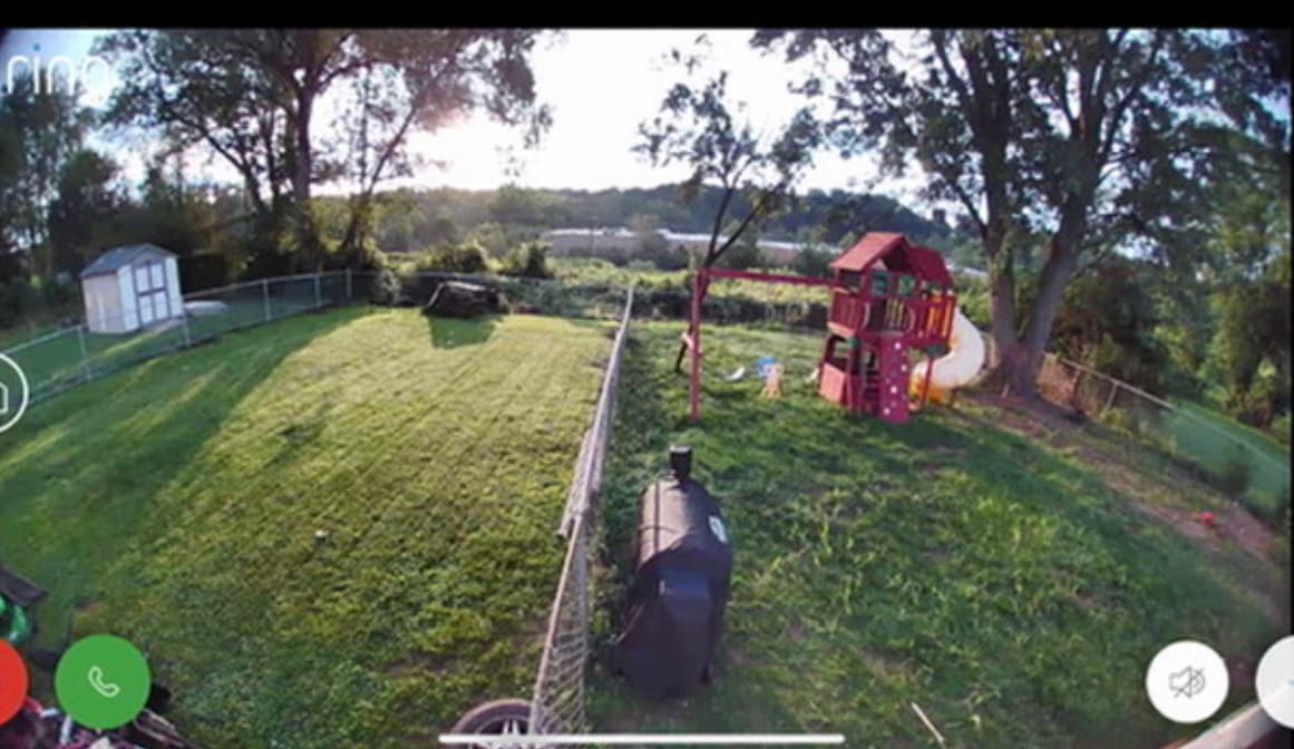 Backyard - 138 8th St