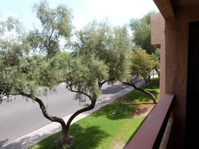 Building Photo - Upgraded One Bedroom- Will go FAST!  2nd floor unit with Washer and Dryer!!!  No neighbors direct...