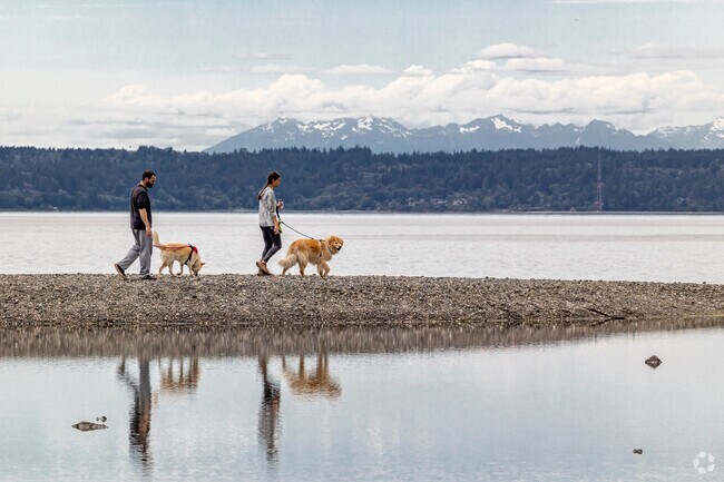 Salt Water State Park in the Des Moines area attracts many dog walkers.