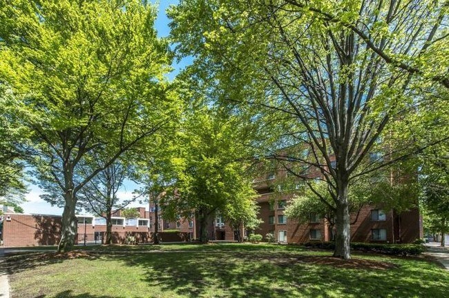 Building Photo - 3 bedroom in Brookline MA 02445