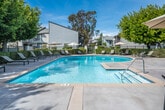 Located at 550 Paularino Ave in Costa Mesa, California, this outdoor amenity area offers a well-appointed recreational space designed for relaxation and socializing. The centerpiece is a generously sized, kidney-shaped swimming pool with crystal-clear turquoise water, complemented by a separate circular spa with jets — both enclosed by a wrought iron fence and bordered by a spacious concrete pool deck. Surrounding the pool, multiple chaise lounge chairs and patio seating areas with large market umbrellas provide ample space for sunbathing and outdoor dining. Mature eucalyptus and shade trees frame the perimeter, creating a sense of privacy and a lush, park-like atmosphere. A dedicated BBQ station features a built-in stainless steel grill set atop a stone surround, nestled beneath a pergola canopy with mature tree coverage overhead — ideal for outdoor entertaining. Adjacent to the pool, a single-story clubhouse with a pitched shingle roof and expansive sliding glass doors opens directly onto the patio, creating a seamless indoor-outdoor flow. Umbrella-shaded dining tables on the clubhouse patio extend the entertaining options. The overall ambiance is that of a well-maintained, resort-inspired community amenity space suited for year-round enjoyment in the mild Southern California climate.
