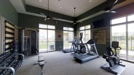 This fitness center is designed to support a well-rounded workout routine within a spacious, single-story layout. The room features soaring ceilings accented by two ceiling fans, which contribute to both the airy atmosphere and climate comfort during exercise sessions. Large windows line the walls, flooding the space with natural light while offering views of the surrounding outdoor greenery, creating an open and inviting environment.

The cardio section is prominently equipped with treadmills and an elliptical trainer, each positioned to take advantage of the natural light and outdoor sightlines. A cable-based strength machine is situated along one wall, providing options for resistance and functional training. Additional free-standing equipment, including a weight bench, adds versatility for strength-focused workouts.

The flooring consists of low-pile carpet with mat areas placed beneath the equipment for stability and protection. A wall-mounted flat-screen television is positioned for easy viewing from multiple workout stations. The deep green and neutral-toned walls give the space a focused, professional aesthetic. Overall, the fitness center offers a functional and comfortable environment for a variety of exercise needs.