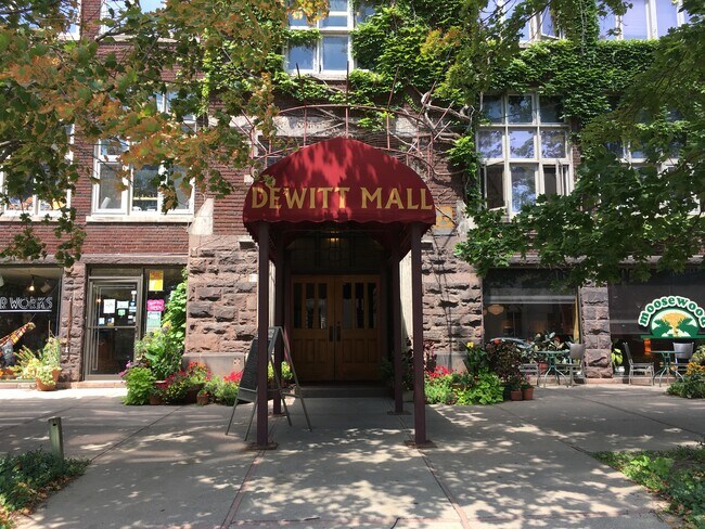 the Dewitt Mall - 215 N Cayuga St