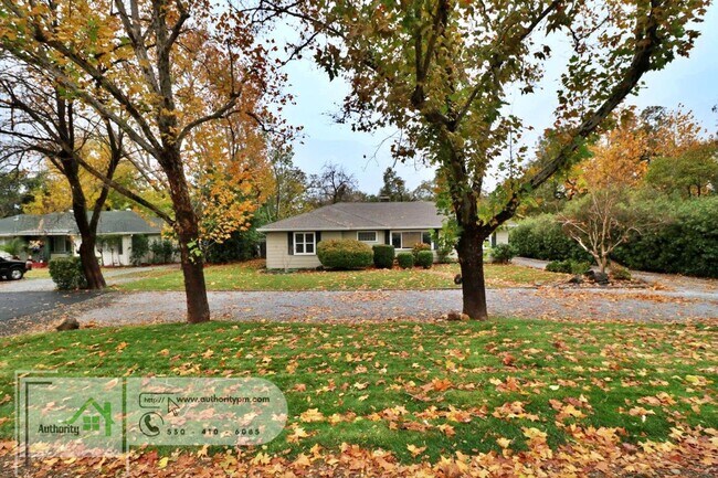 Building Photo - 3618 Bechelli Ln