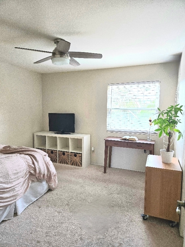 Foto principal - 2918 Shady Pine St