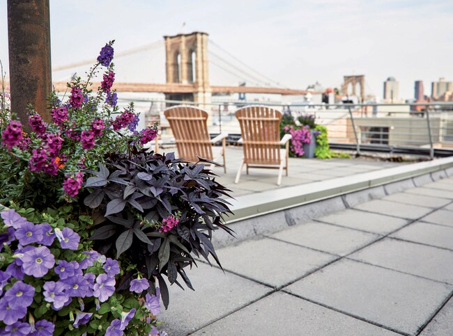 Foto del edificio - 217 Front St