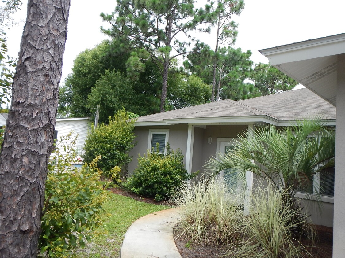 Primary Photo - 49 Las Roblas Grande Dr